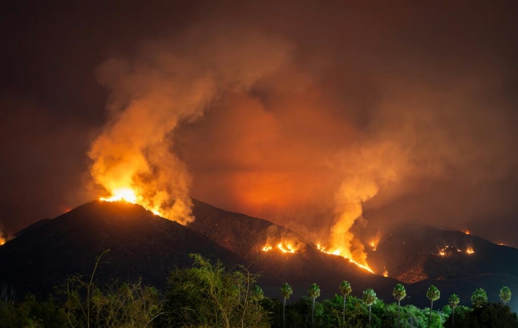 California's 2025 wildfire