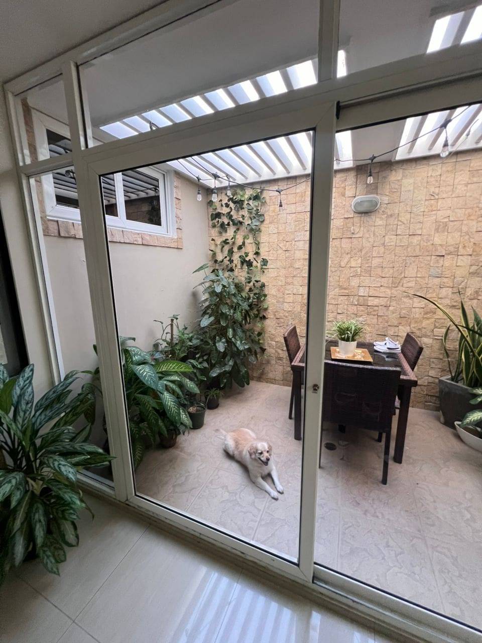backyard adu before backyard adu before